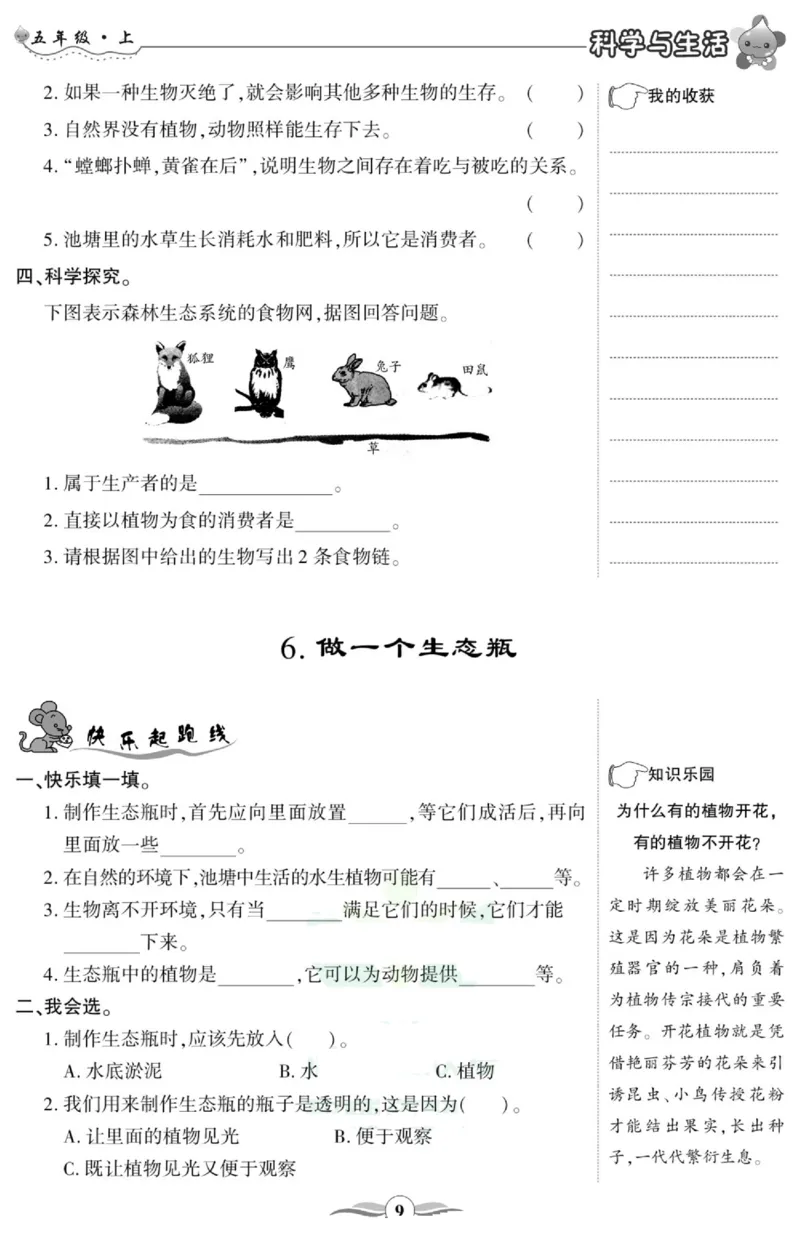 科学与生活五年级上册教科版_2024年人教版小学数学一二三四五六年级上册下册期中期末试a0747_小学全科《同步练习+精品试卷》打包下载（1-6年级单元月考期中期末试卷）_小学科学