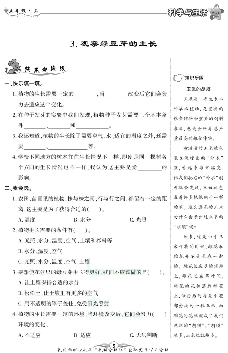 科学与生活五年级上册教科版_2024年人教版小学数学一二三四五六年级上册下册期中期末试a0747_小学全科《同步练习+精品试卷》打包下载（1-6年级单元月考期中期末试卷）_小学科学