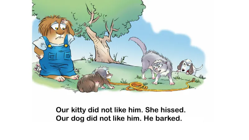 02.JustOneMorePet_Frank（小毛怪）老师爆笑阅读单词课（50个故事3000词）_小炸毛爆笑故事单词课课件