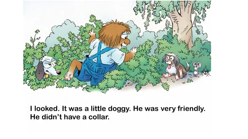 02.JustOneMorePet_Frank（小毛怪）老师爆笑阅读单词课（50个故事3000词）_小炸毛爆笑故事单词课课件