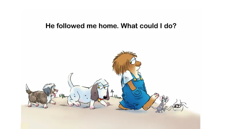 02.JustOneMorePet_Frank（小毛怪）老师爆笑阅读单词课（50个故事3000词）_小炸毛爆笑故事单词课课件