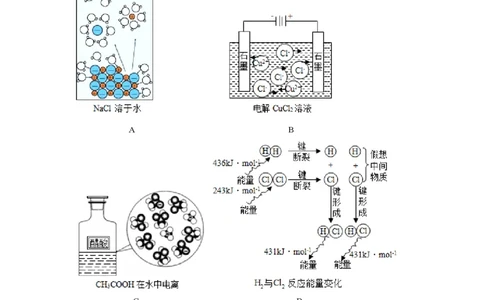 2019年高考化学试卷（北京）（解析卷）_历年高考真题合集_化学历年高考真题_新&middot;PDF版2008-2025&middot;高考化学真题_化学（按省份分类）2008-2025_2008-2025&middot;（北京）化学高考真题