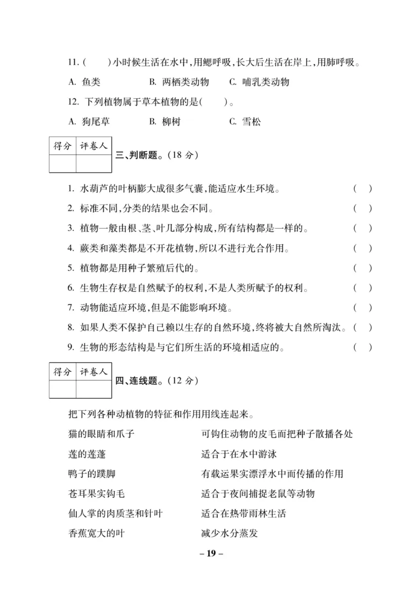 科学教科版单元测试卷6年级上册_2024年人教版小学数学一二三四五六年级上册下册期中期末试a0747_小学全科《同步练习+精品试卷》打包下载（1-6年级单元月考期中期末试卷）_小学科学