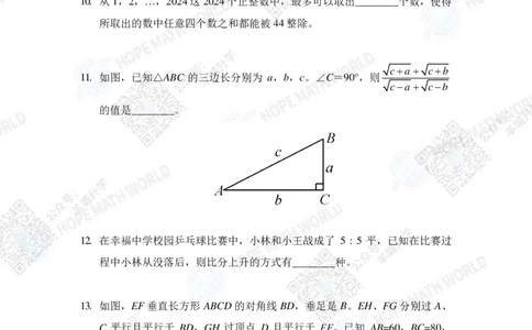 2024IHCD-8发布版_希望杯IHC
