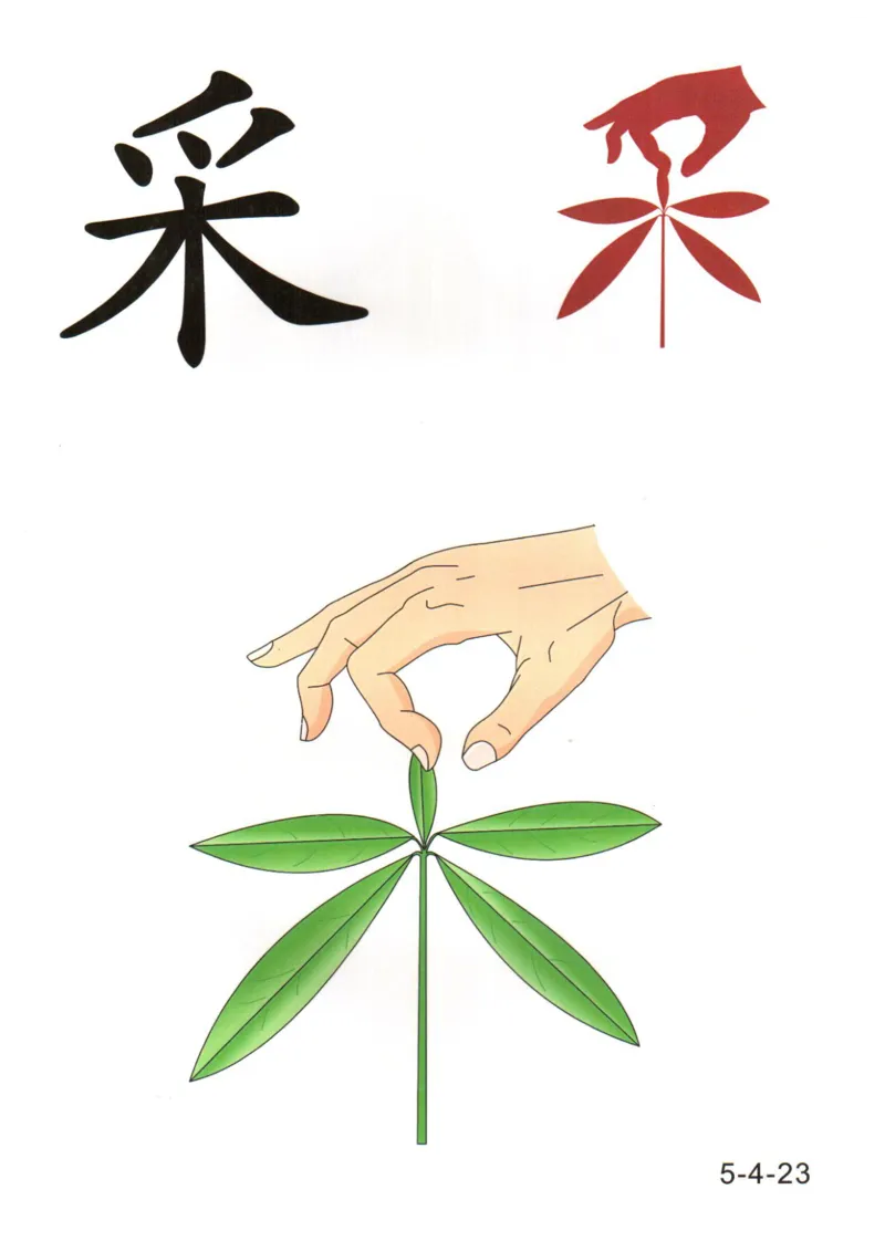 识字看图识字记忆闪卡-第五集_语文专项(1)