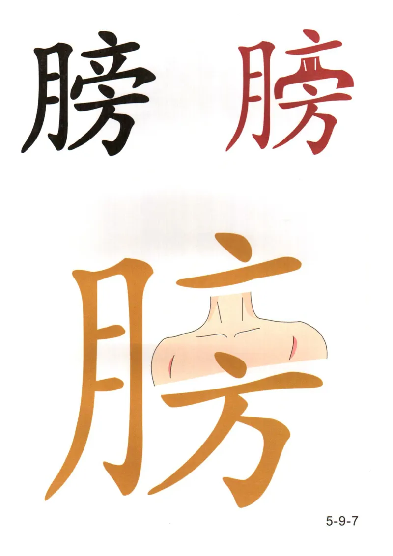 识字看图识字记忆闪卡-第五集_语文专项(1)