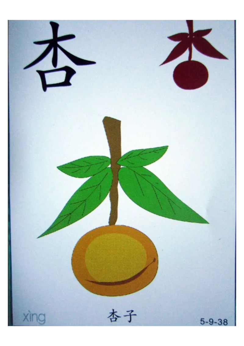 识字看图识字记忆闪卡-第五集_语文专项(1)