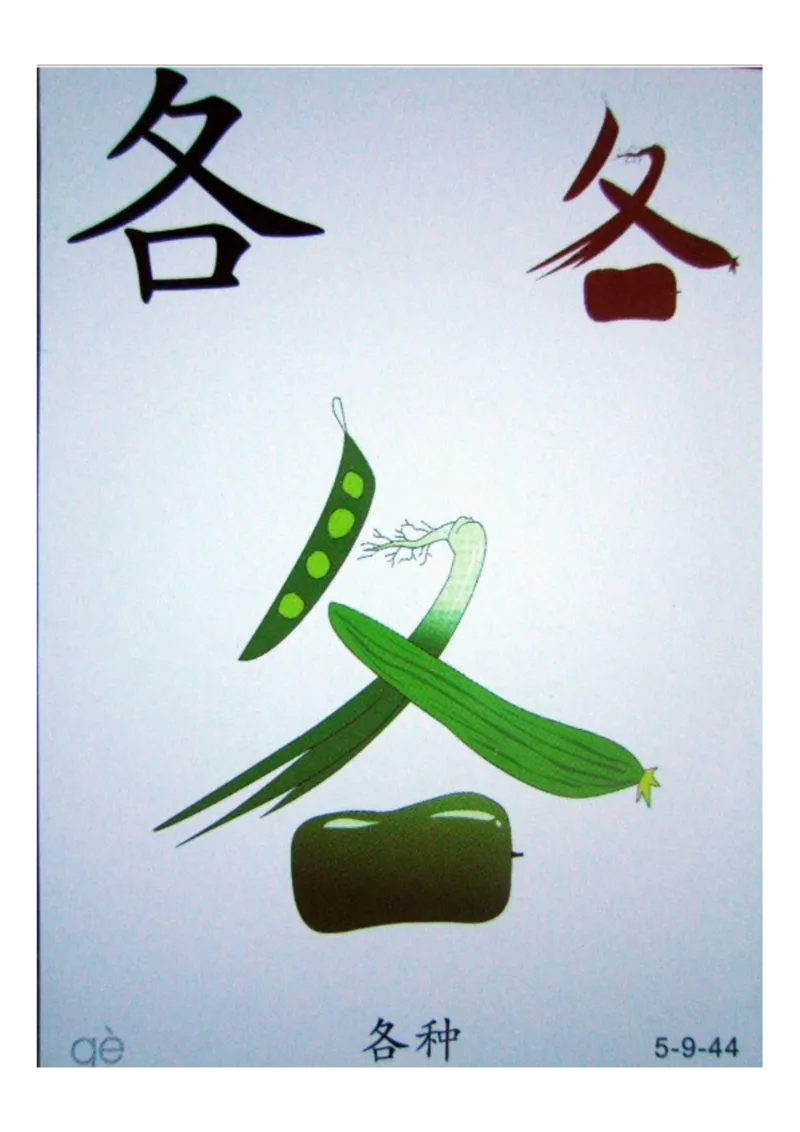 识字看图识字记忆闪卡-第五集_语文专项(1)