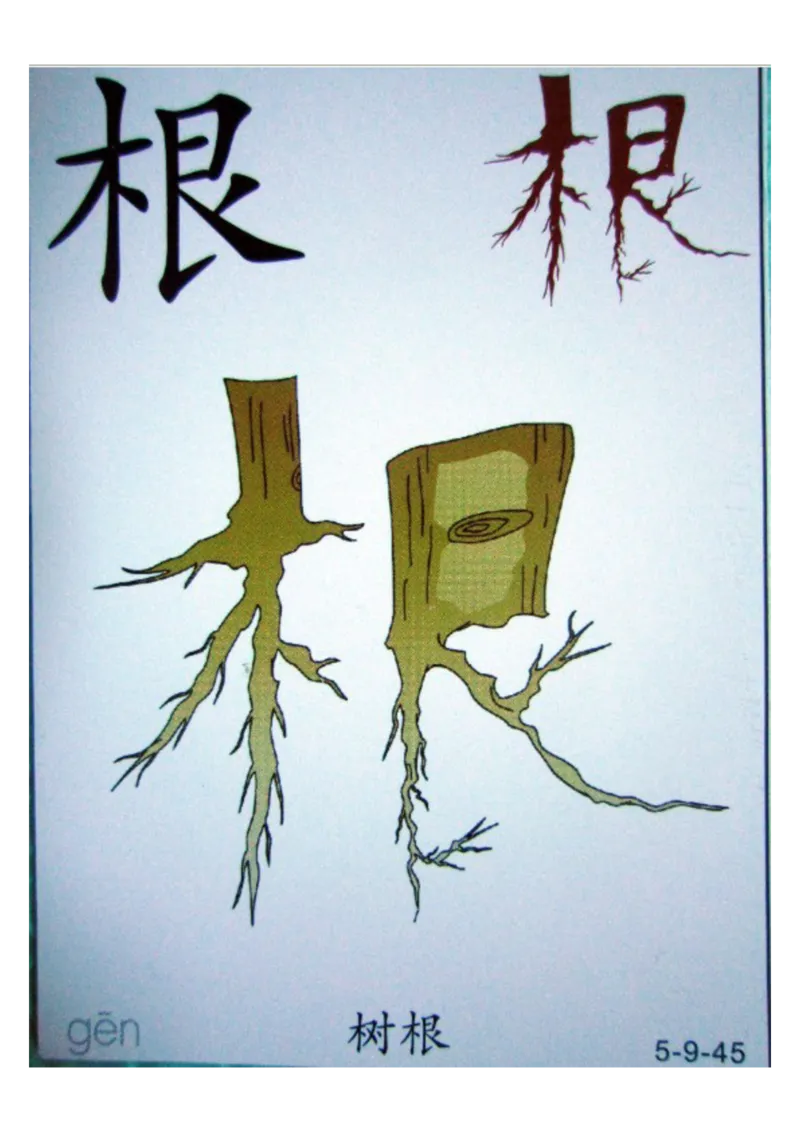 识字看图识字记忆闪卡-第五集_语文专项(1)