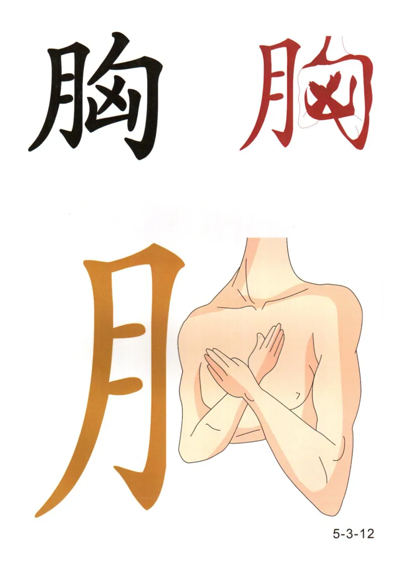 识字看图识字记忆闪卡-第五集_语文专项(1)