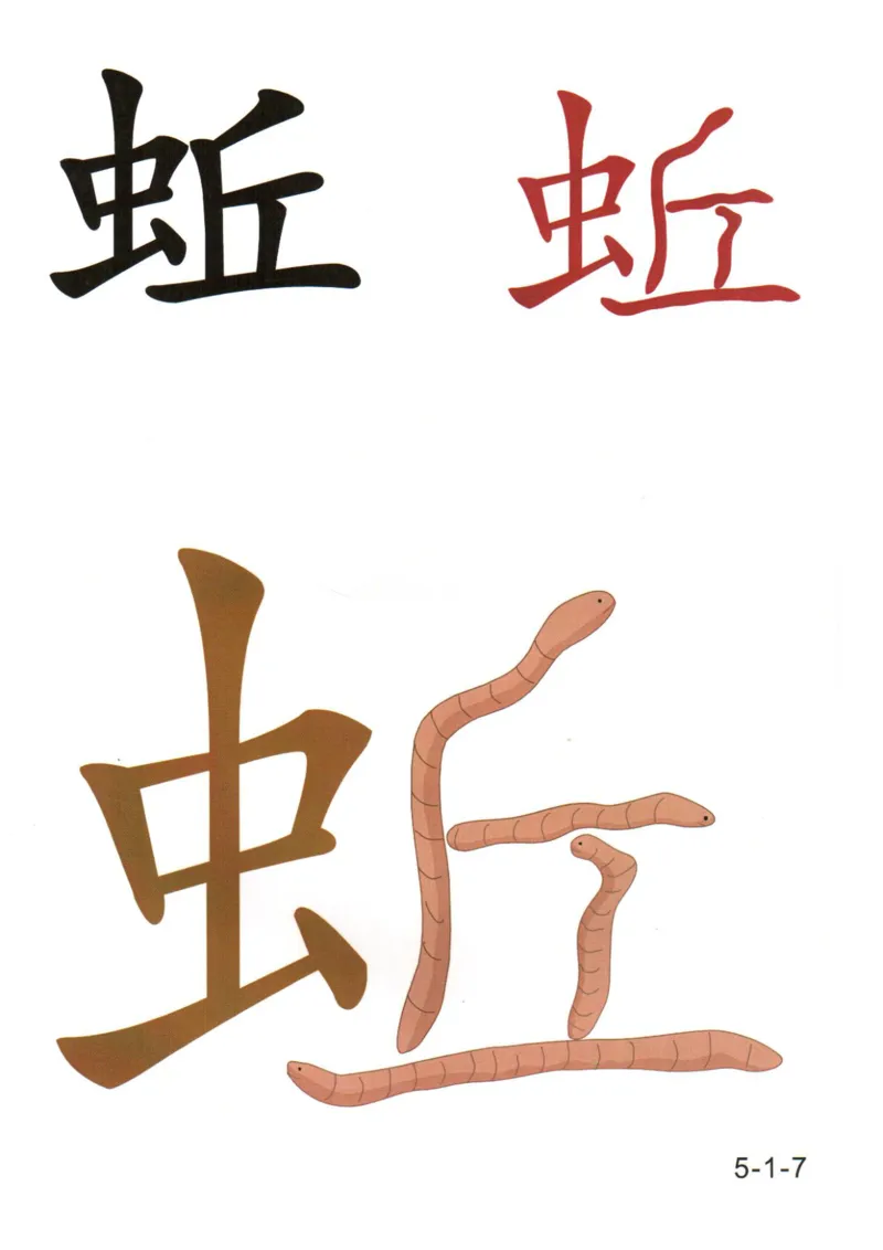 识字看图识字记忆闪卡-第五集_语文专项(1)