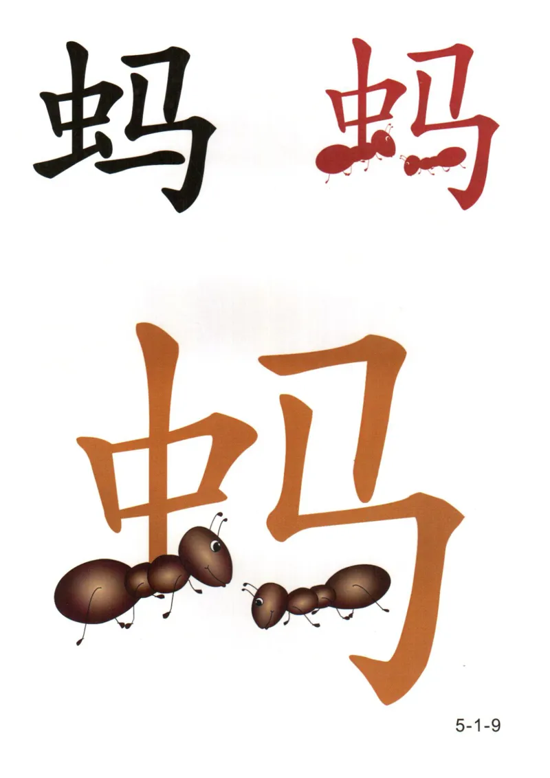 识字看图识字记忆闪卡-第五集_语文专项(1)