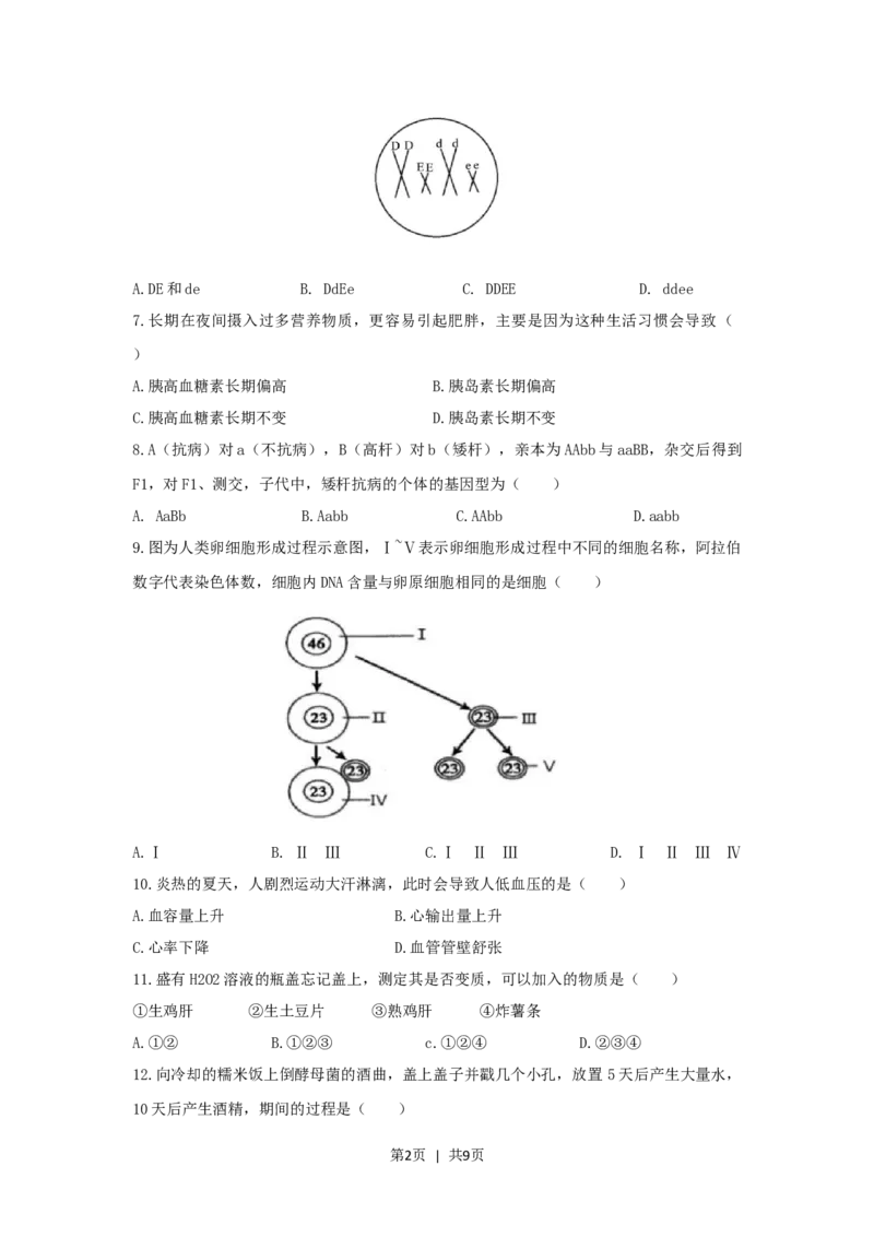 2020年高考生物试卷（上海）（空白卷）_生物历年高考真题_新&middot;Word版2008-2025&middot;高考生物真题_生物（按年份分类）2008-2025_2020&middot;高考生物真题