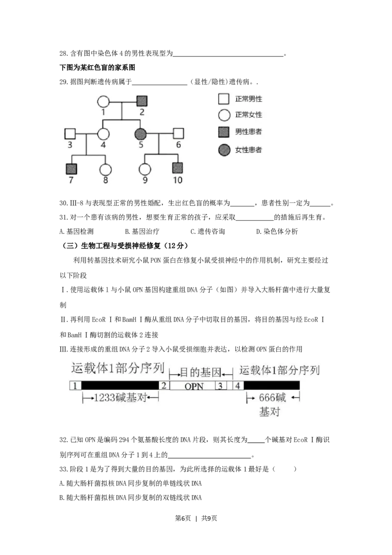 2020年高考生物试卷（上海）（空白卷）_生物历年高考真题_新&middot;Word版2008-2025&middot;高考生物真题_生物（按年份分类）2008-2025_2020&middot;高考生物真题