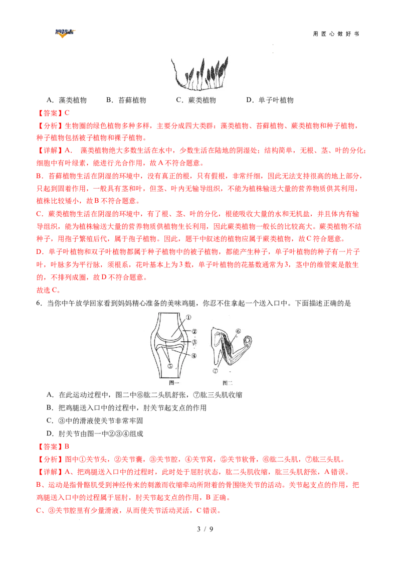 生物（安徽卷）（全解全析）_2025年初中《中考第一次模拟》全国各地区模拟卷（8科全）(1)_2025年《中考第一次模拟卷》初中生物_安徽&radic;