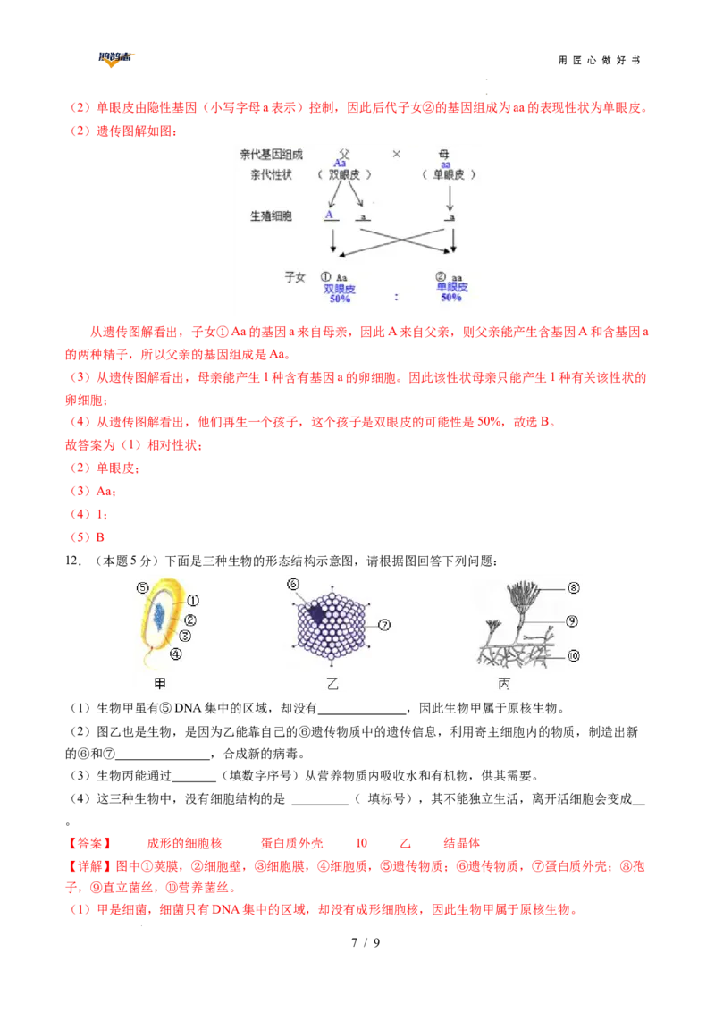 生物（安徽卷）（全解全析）_2025年初中《中考第一次模拟》全国各地区模拟卷（8科全）(1)_2025年《中考第一次模拟卷》初中生物_安徽&radic;