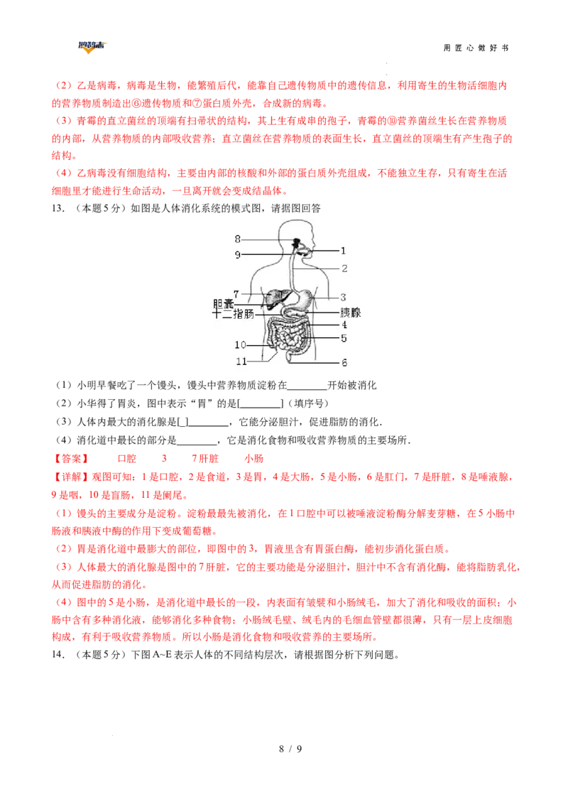 生物（安徽卷）（全解全析）_2025年初中《中考第一次模拟》全国各地区模拟卷（8科全）(1)_2025年《中考第一次模拟卷》初中生物_安徽&radic;