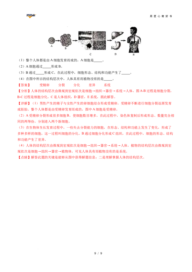 生物（安徽卷）（全解全析）_2025年初中《中考第一次模拟》全国各地区模拟卷（8科全）(1)_2025年《中考第一次模拟卷》初中生物_安徽&radic;