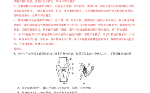 生物（安徽卷）（全解全析）_2025年初中《中考第一次模拟》全国各地区模拟卷（8科全）(1)_2025年《中考第一次模拟卷》初中生物_安徽&radic;