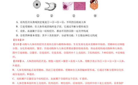 生物（安徽卷）（全解全析）_2025年初中《中考第一次模拟》全国各地区模拟卷（8科全）(1)_2025年《中考第一次模拟卷》初中生物_安徽&radic;