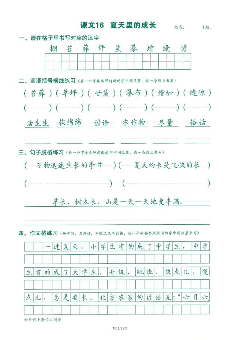 六上丨语文字词句作文练习字帖_25秋《生字+组词+字帖》语文1-6年级