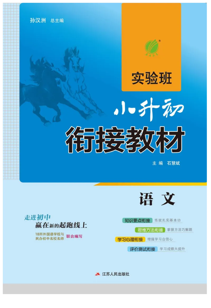 实验班小升初衔接语文_2024年人教版小学数学一二三四五六年级上册下册期中期末试a0747_小学全科《同步练习+精品试卷》打包下载（1-6年级单元月考期中期末试卷）_小升初中总复习