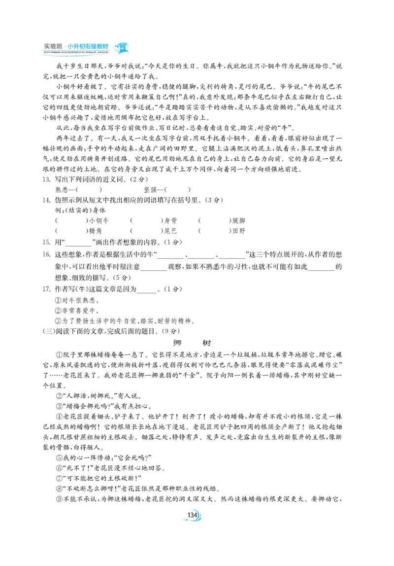 实验班小升初衔接语文_2024年人教版小学数学一二三四五六年级上册下册期中期末试a0747_小学全科《同步练习+精品试卷》打包下载（1-6年级单元月考期中期末试卷）_小升初中总复习
