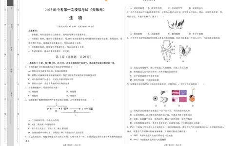 生物（安徽卷）（考试版A3）_2025年初中《中考第一次模拟》全国各地区模拟卷（8科全）(1)_2025年《中考第一次模拟卷》初中生物_安徽&radic;