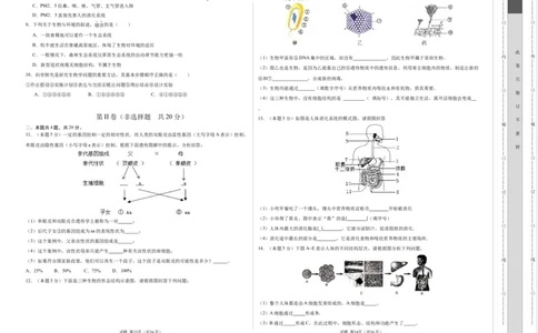 生物（安徽卷）（考试版A3）_2025年初中《中考第一次模拟》全国各地区模拟卷（8科全）(1)_2025年《中考第一次模拟卷》初中生物_安徽&radic;