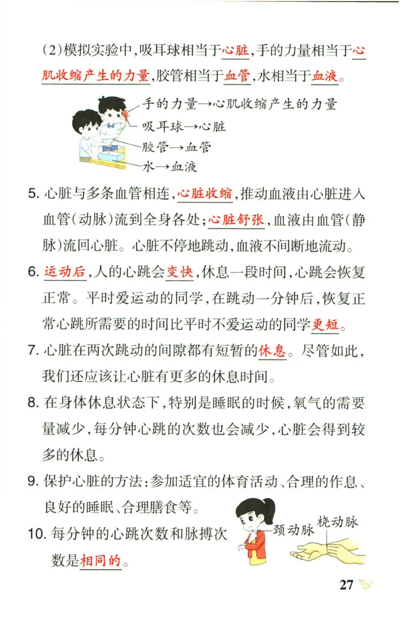 小学学霸作业本五年级上册科学教科版知识手册_2024年人教版小学数学一二三四五六年级上册下册期中期末试a0747_小学全科《同步练习+精品试卷》打包下载（1-6年级单元月考期中期末试卷）