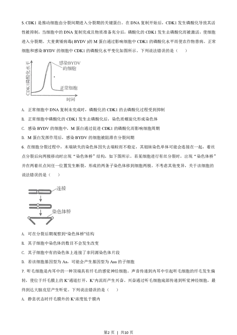 2020年高考生物试卷（山东）（空白卷）_生物历年高考真题_新&middot;PDF版2008-2025&middot;高考生物真题_生物（按省份分类）2008-2025_2008-2025&middot;（山东）生物高考真题