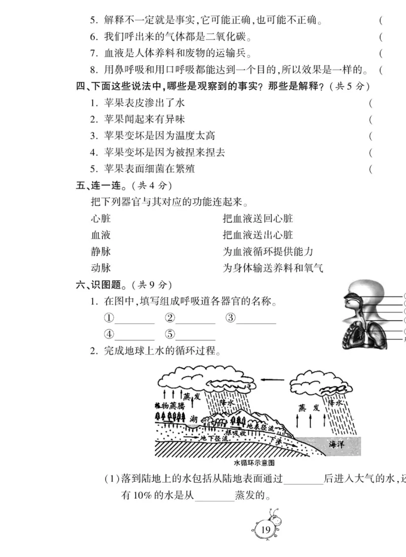 科学五年级上册苏教版_2024年人教版小学数学一二三四五六年级上册下册期中期末试a0747_小学全科《同步练习+精品试卷》打包下载（1-6年级单元月考期中期末试卷）_小学科学