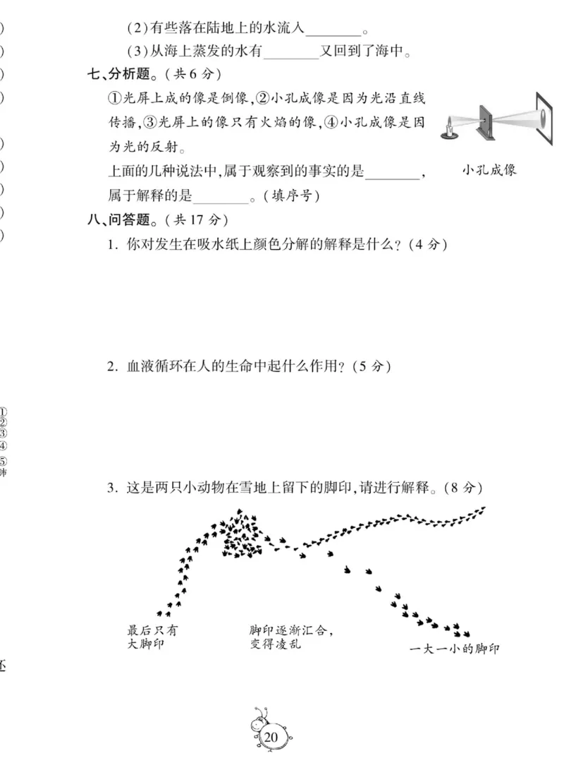 科学五年级上册苏教版_2024年人教版小学数学一二三四五六年级上册下册期中期末试a0747_小学全科《同步练习+精品试卷》打包下载（1-6年级单元月考期中期末试卷）_小学科学