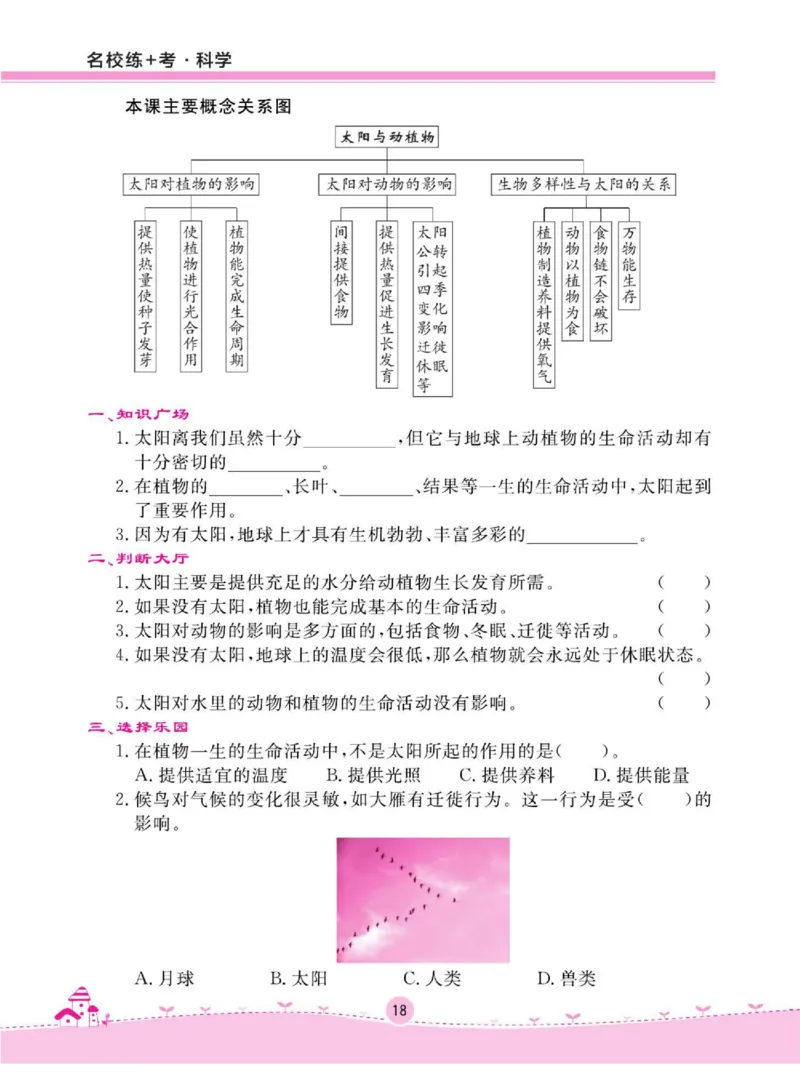 名校练+考六年级下册科学鄂教版_2024年人教版小学数学一二三四五六年级上册下册期中期末试a0747_小学全科《同步练习+精品试卷》打包下载（1-6年级单元月考期中期末试卷）_小学科学