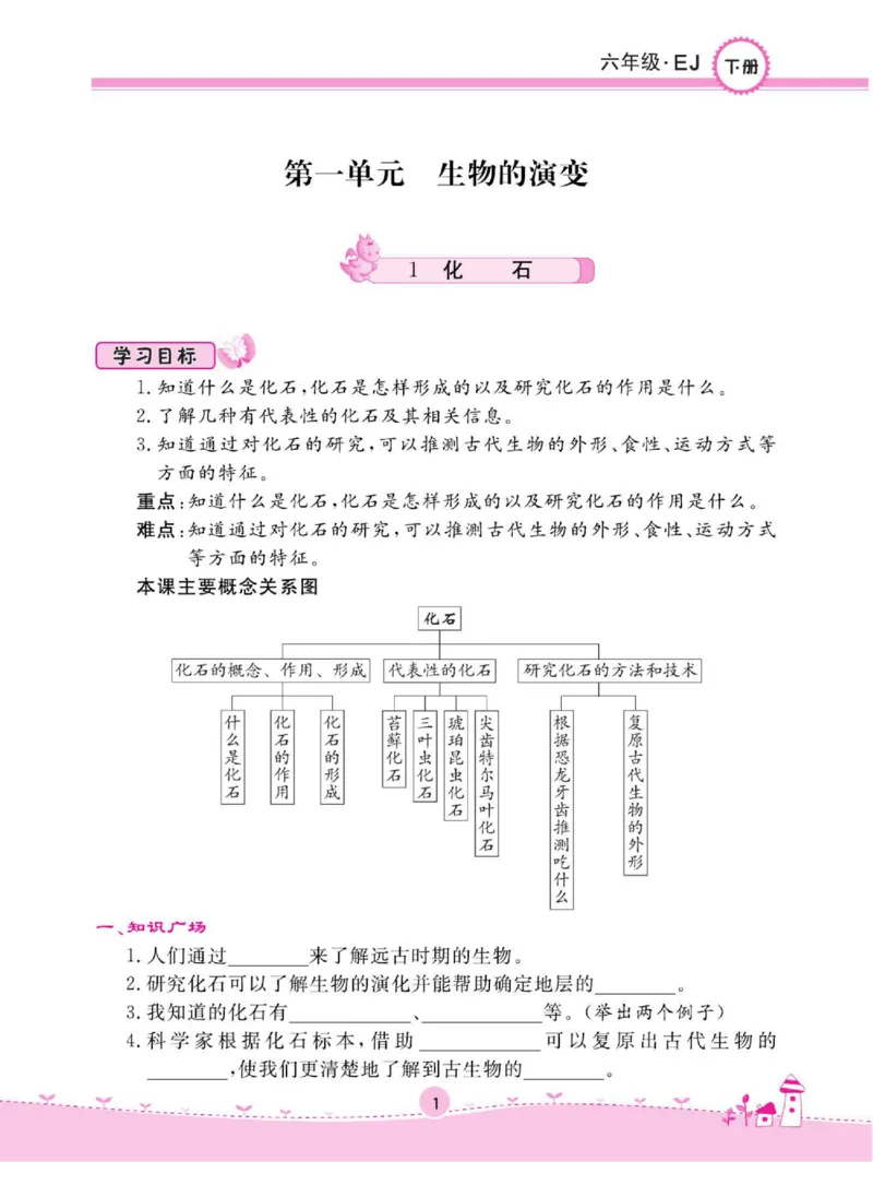 名校练+考六年级下册科学鄂教版_2024年人教版小学数学一二三四五六年级上册下册期中期末试a0747_小学全科《同步练习+精品试卷》打包下载（1-6年级单元月考期中期末试卷）_小学科学