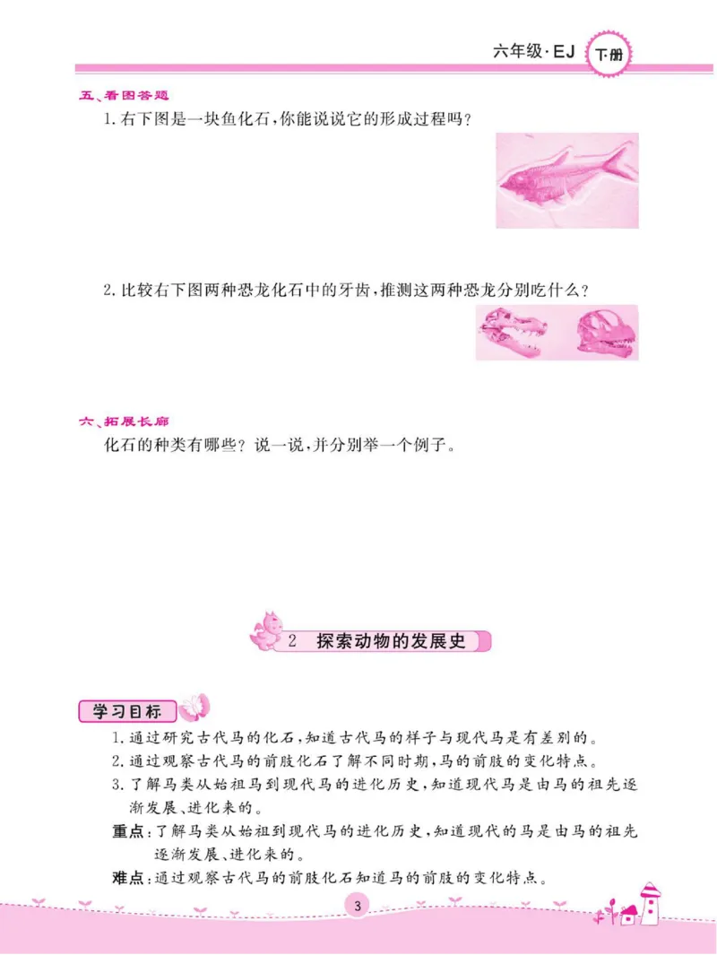 名校练+考六年级下册科学鄂教版_2024年人教版小学数学一二三四五六年级上册下册期中期末试a0747_小学全科《同步练习+精品试卷》打包下载（1-6年级单元月考期中期末试卷）_小学科学