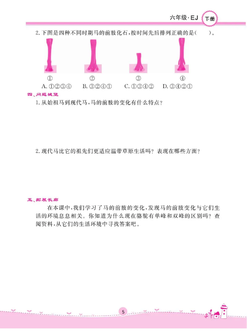 名校练+考六年级下册科学鄂教版_2024年人教版小学数学一二三四五六年级上册下册期中期末试a0747_小学全科《同步练习+精品试卷》打包下载（1-6年级单元月考期中期末试卷）_小学科学