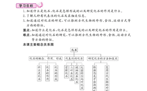 名校练+考六年级下册科学鄂教版_2024年人教版小学数学一二三四五六年级上册下册期中期末试a0747_小学全科《同步练习+精品试卷》打包下载（1-6年级单元月考期中期末试卷）_小学科学