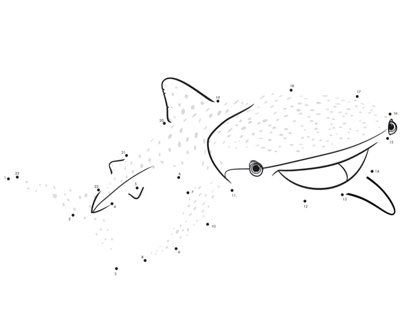 数字连线画30张_幼小衔接全套_7.幼小衔接全套_02、数学_4、数学作业_数字连线画~30张