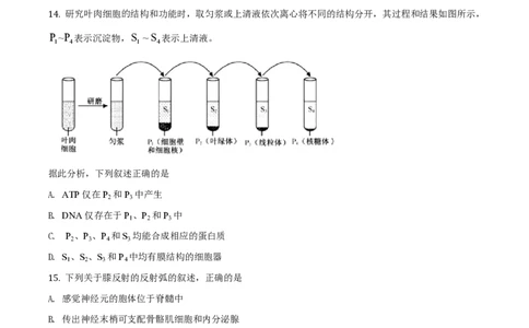 2020年高考生物试卷（浙江）1月（空白卷）_生物历年高考真题_新&middot;PDF版2008-2025&middot;高考生物真题_生物（按年份分类）2008-2025_2020&middot;高考生物真题