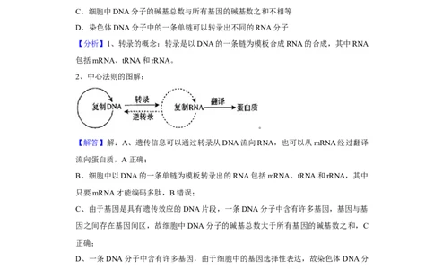 2020年高考生物试卷（新课标Ⅲ）（解析卷）_生物历年高考真题_新&middot;Word版2008-2025&middot;高考生物真题_生物（按年份分类）2008-2025_2020&middot;高考生物真题