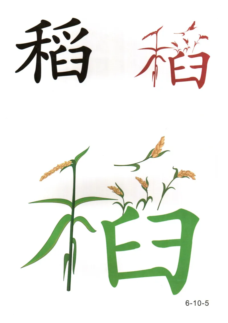 识字看图识字记忆闪卡-第六集_幼小语数英专项资料_幼小语文专项