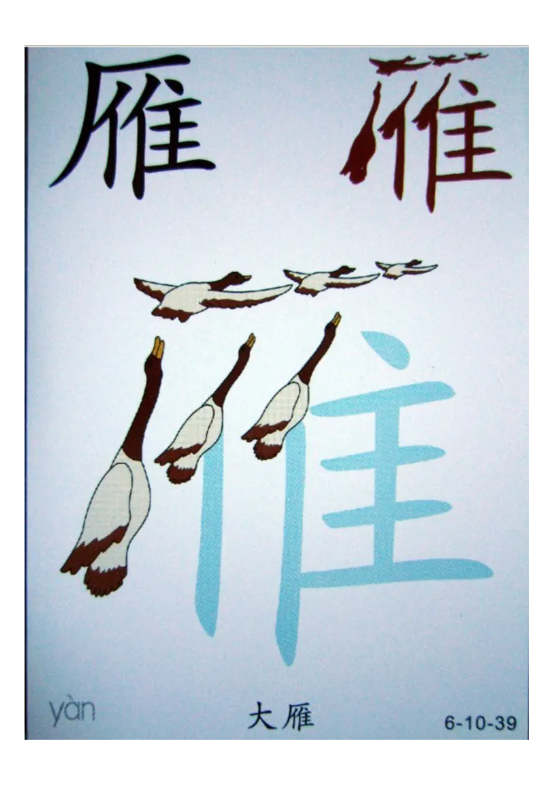 识字看图识字记忆闪卡-第六集_幼小语数英专项资料_幼小语文专项