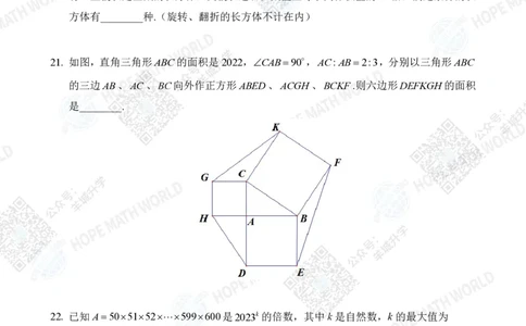 2023IHCD-5_希望杯IHC