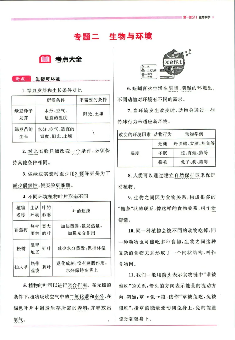 阳光同学考点大全科学_2024年人教版小学数学一二三四五六年级上册下册期中期末试a0747_小学全科《同步练习+精品试卷》打包下载（1-6年级单元月考期中期末试卷）_小升初中总复习