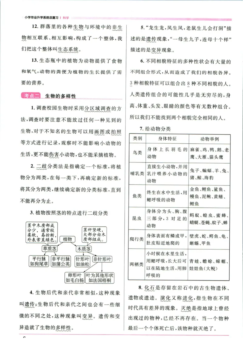 阳光同学考点大全科学_2024年人教版小学数学一二三四五六年级上册下册期中期末试a0747_小学全科《同步练习+精品试卷》打包下载（1-6年级单元月考期中期末试卷）_小升初中总复习