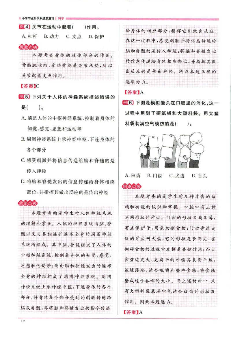 阳光同学考点大全科学_2024年人教版小学数学一二三四五六年级上册下册期中期末试a0747_小学全科《同步练习+精品试卷》打包下载（1-6年级单元月考期中期末试卷）_小升初中总复习