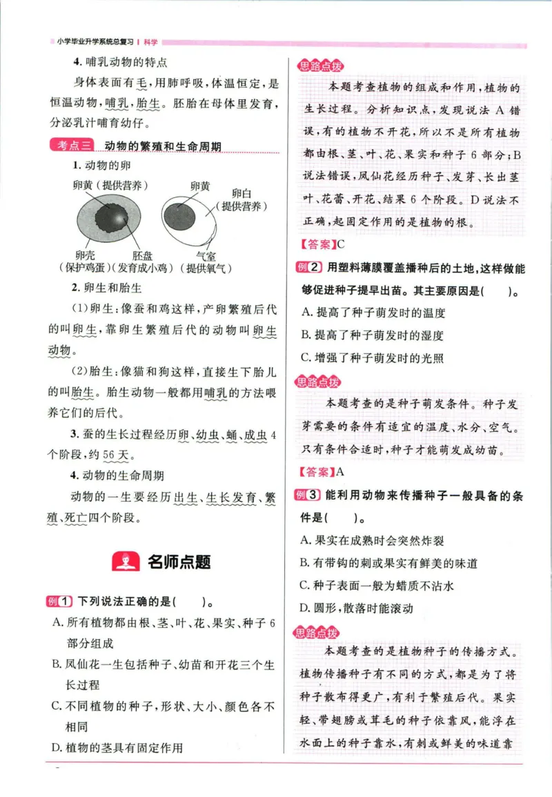 阳光同学考点大全科学_2024年人教版小学数学一二三四五六年级上册下册期中期末试a0747_小学全科《同步练习+精品试卷》打包下载（1-6年级单元月考期中期末试卷）_小升初中总复习