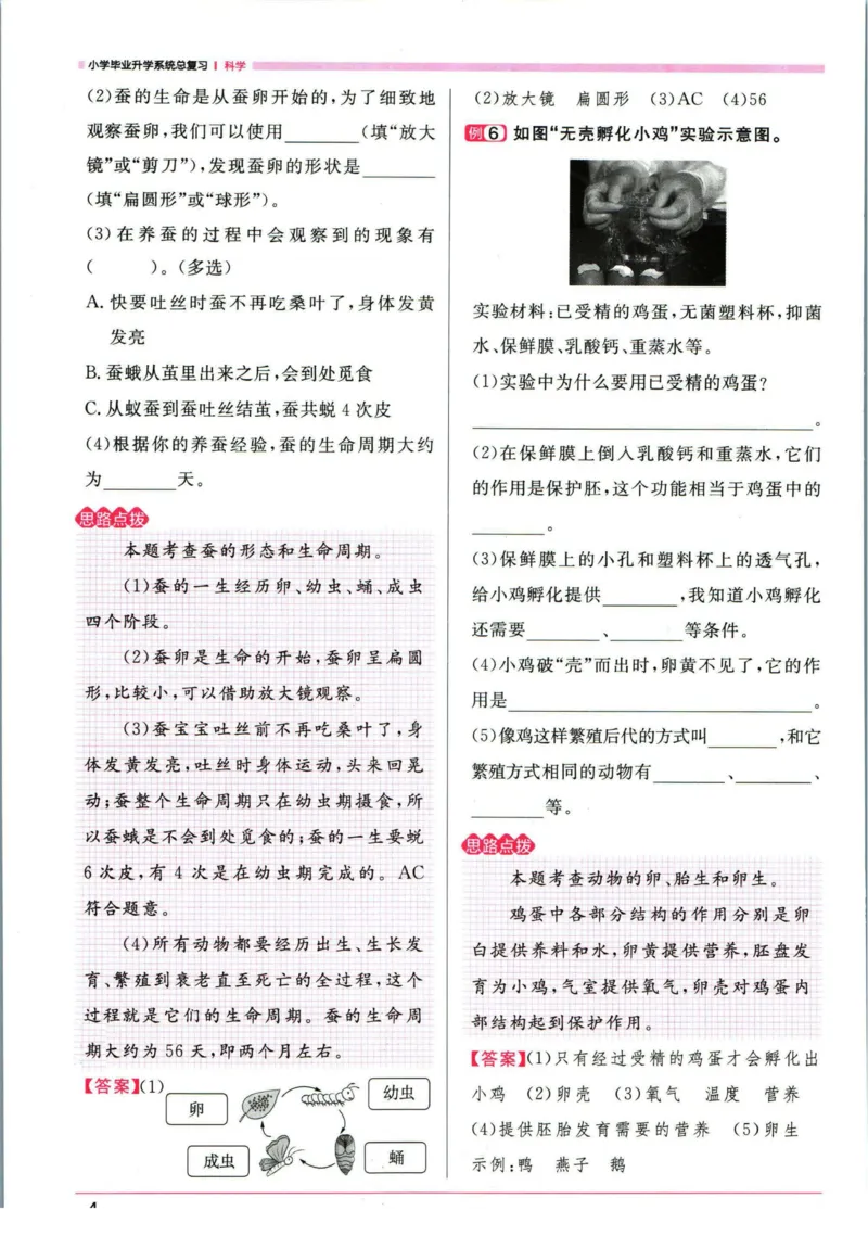 阳光同学考点大全科学_2024年人教版小学数学一二三四五六年级上册下册期中期末试a0747_小学全科《同步练习+精品试卷》打包下载（1-6年级单元月考期中期末试卷）_小升初中总复习