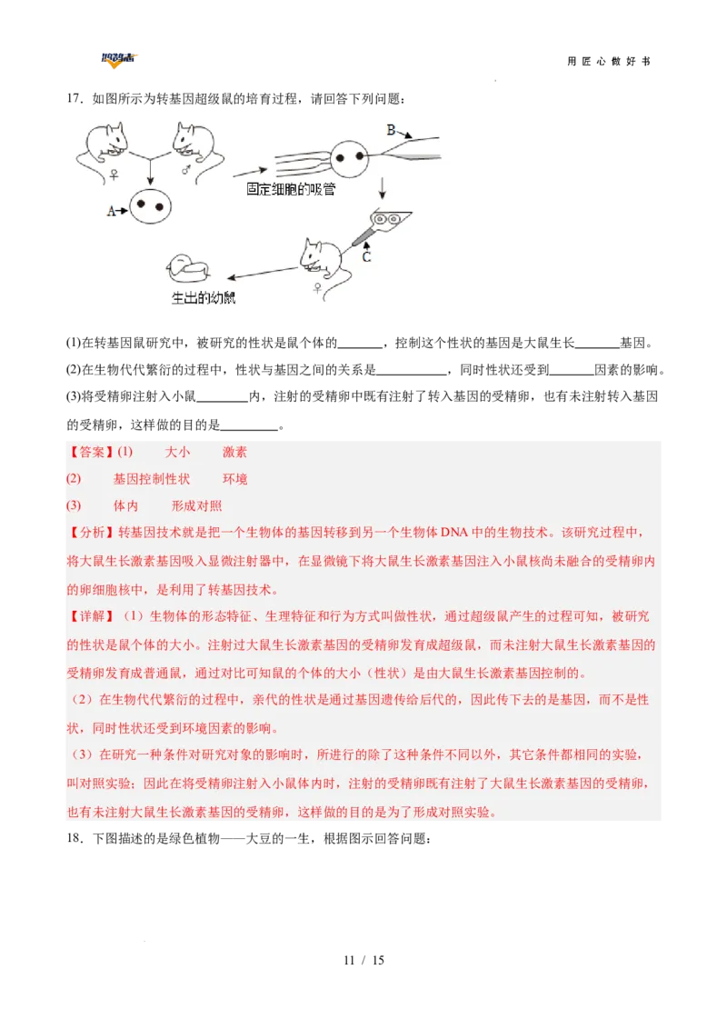 生物（广西卷）（全解全析）_2025年初中《中考第一次模拟》全国各地区模拟卷（8科全）(1)_2025年《中考第一次模拟卷》初中生物_广西&radic;